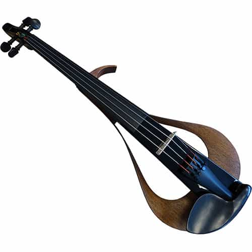 Antique stringed instrument appraisal